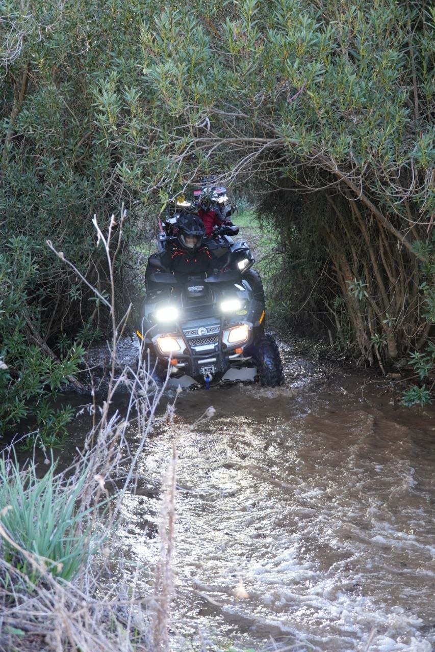 Quad in fila nel tunnel di vegetazione sopra il torrente